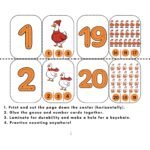 Counting Flash Cards 1-20 printable PDF preview.