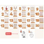 Printable counting flash cards numbers 1-20.