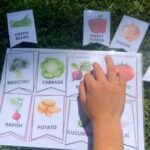 Child using fruit and vegetable flashcards to learn English vocabulary
