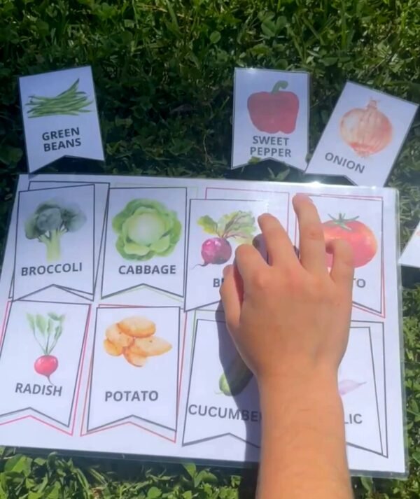 Child using fruit and vegetable flashcards to learn English vocabulary